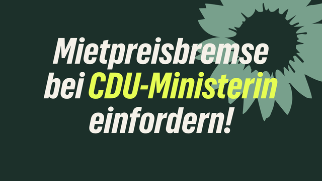 Deine Unterstützung für die Mietpreisbremse in Mannheim